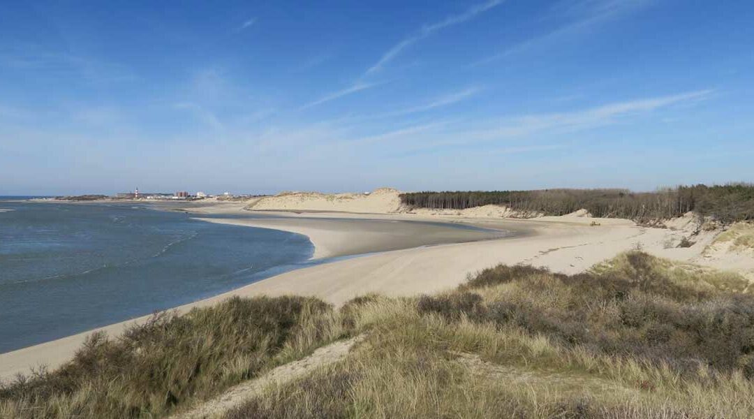 La baie d’Authie