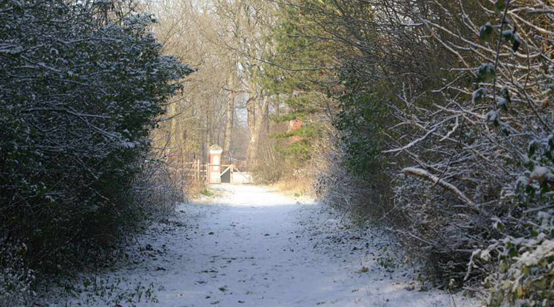 Le sentier des roses